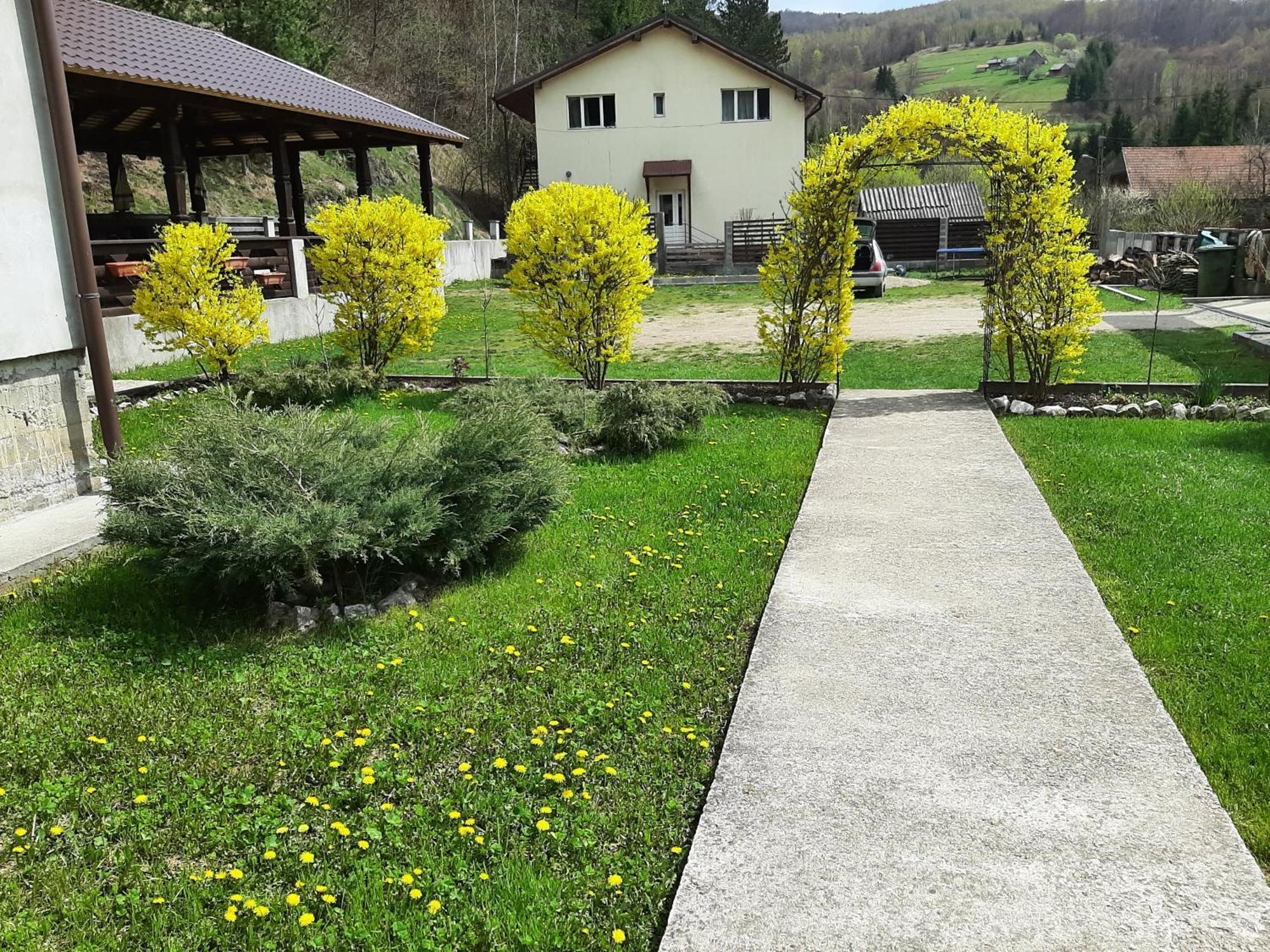 Pensiunea La Рэкицеле Экстерьер фото
